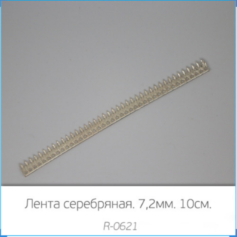 Серебряный каст Готика